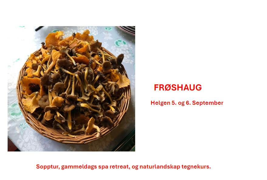 Hyttetur til Frøshaug helgen 5. og 6. september